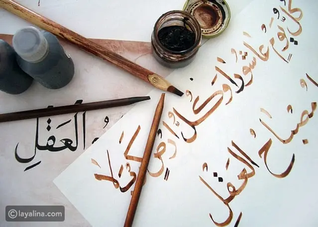 مؤرخون تركوا إرثاً كبيراً في اللغة العربية