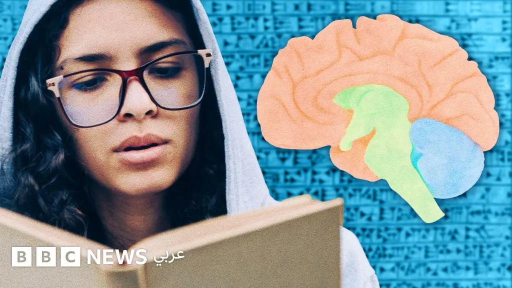 في اليوم العالمي للغة العربية، كيف يتعامل دماغنا مع القراءة، هل نولد ونقرأ بالفطرة؟