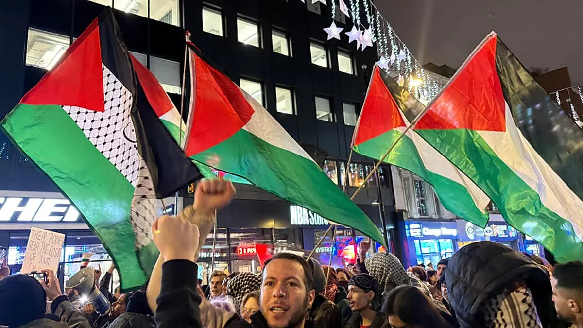 مفوضة حقوق الإنسان الفرنسية: شعار "من النهر إلى البحر" معادٍ للسامية