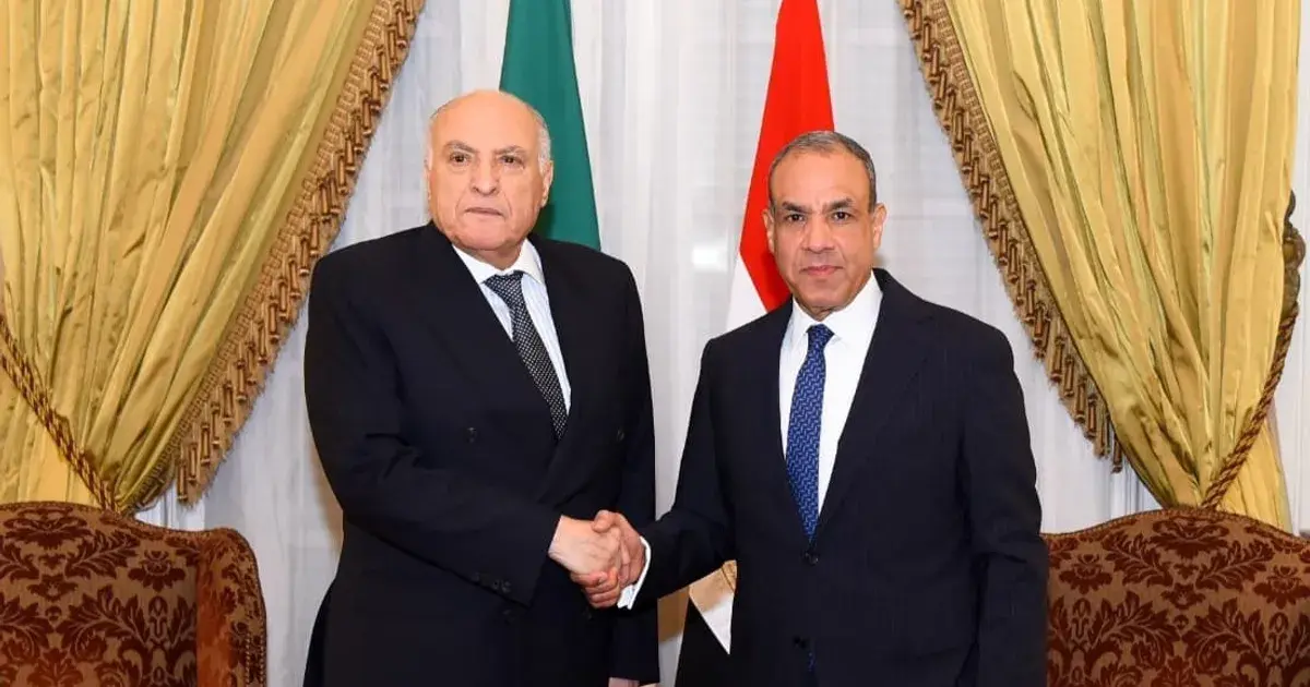 مصر والجزائر تؤكدان ضرورة تثبيت وقف النار في غزة ودعم القارة الإفريقية