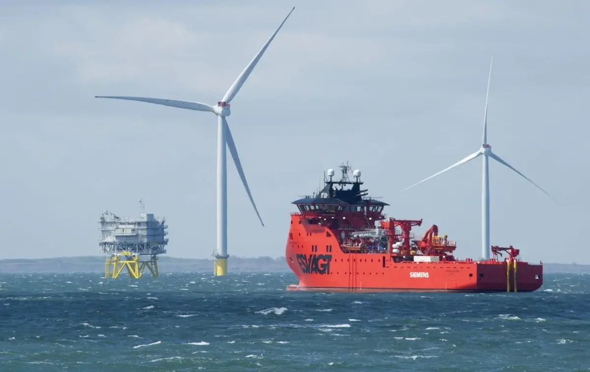 طاقة الرياح البحرية في أستراليا تتعثر.. شركة رائدة تعلن إنهاء أعمالها (تقرير) - الطاقة