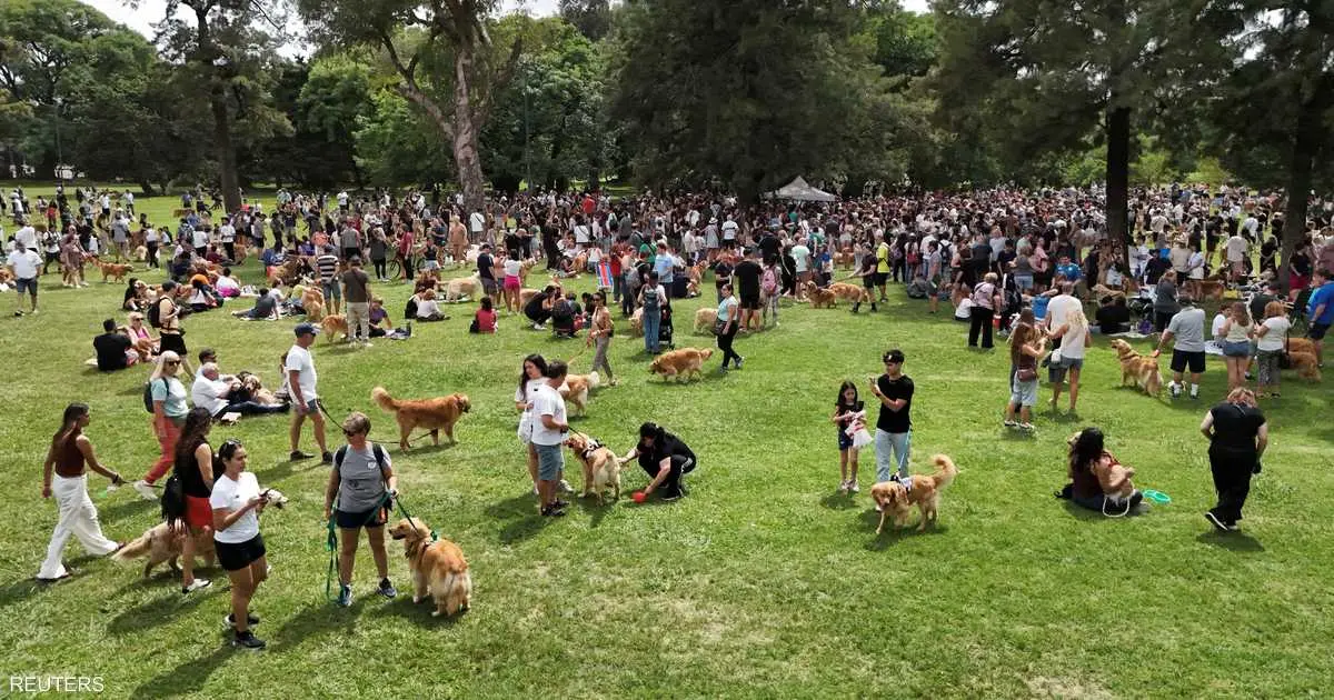 دراسة تكشف سرا مثيرا عن علاقة البشر بالكلاب: الميكروبيوم