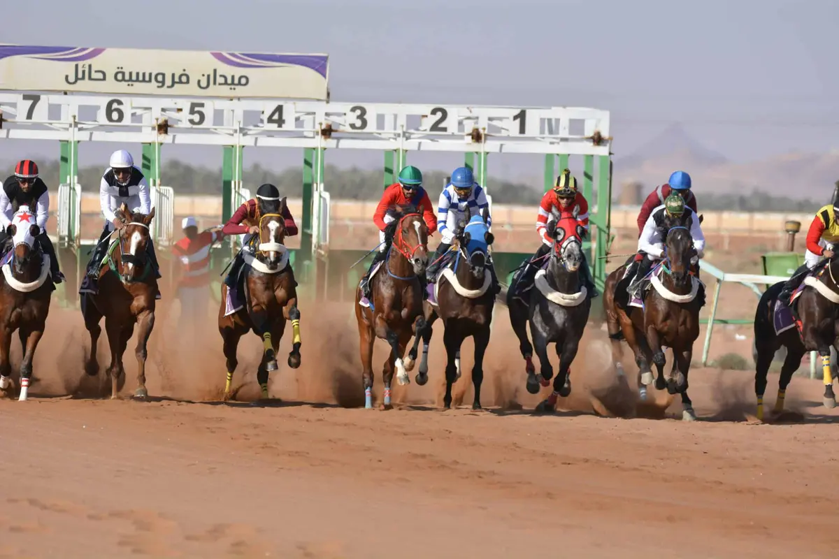 «سباقات الخيل» بنجران.. منصة وطنية لتعزيز قطاع الفروسية ودعم المُلاك والمنتجين