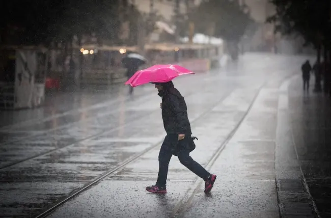 حالة الطقس غدا الثلاثاء 23-12-2025.. أجواء شديدة البرودة وشبورة وأمطار - أموال الغد