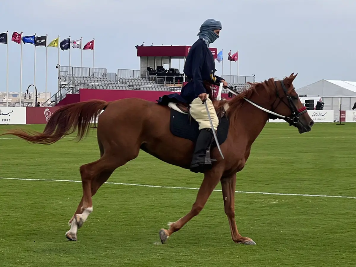 2025 Polo AlMarsa Qatar بطولة تاريخية تنظم للمرة الأولى في ميناء الدوحة القديم