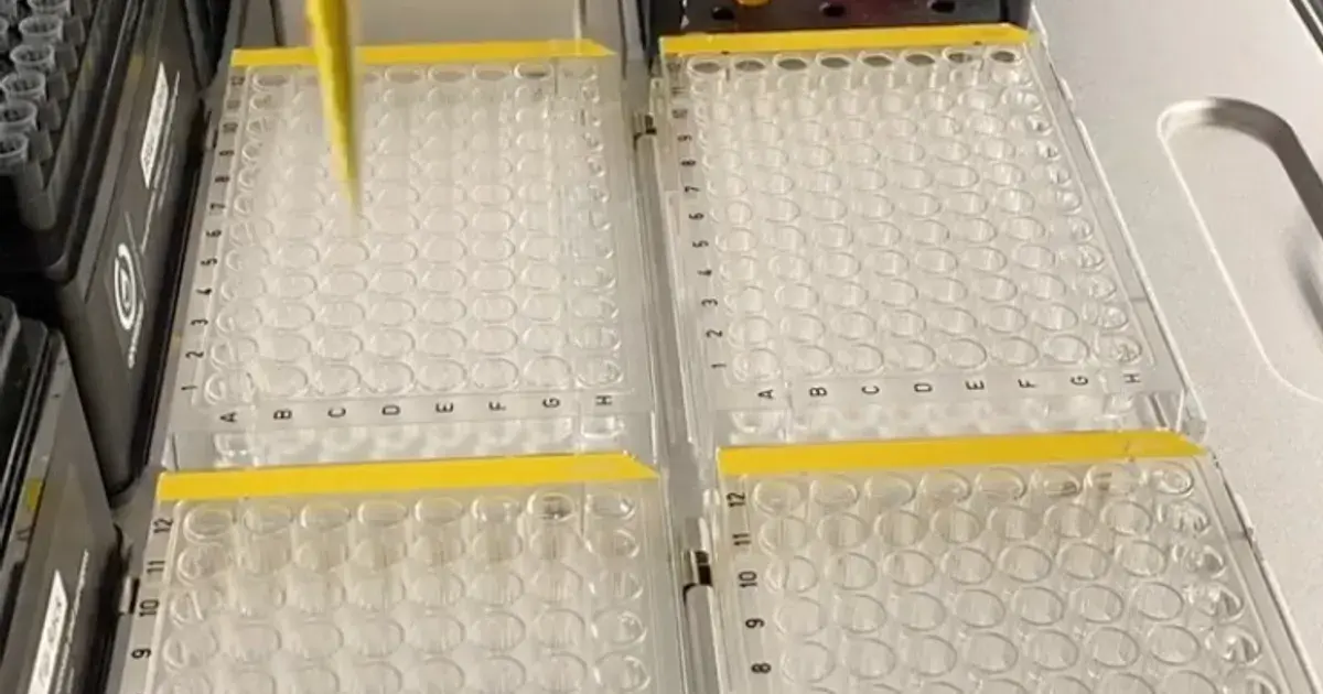 منصة تسرع اكتشاف أدوية لمواجهة مقاومة البكتيريا للمضادات الحيوية