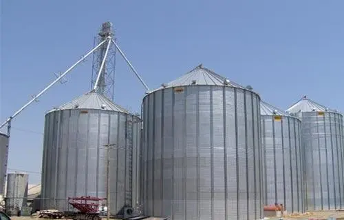 رفع قدرات صوامع القمح إلى 6 ملايين طن لدعم الاستقرار الغذائي - أموال الغد