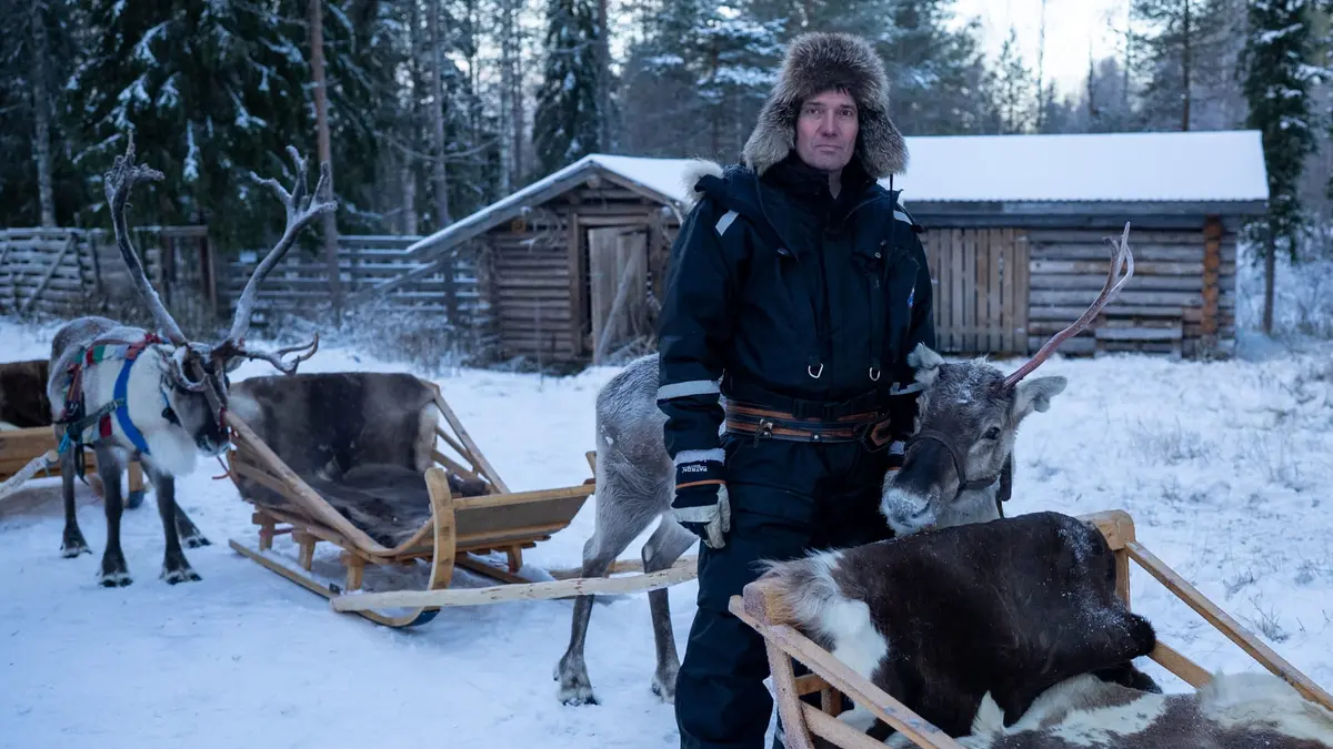 "غزلان سانتا" في فنلندا مهددة.. ما علاقة روسيا بالأمر؟