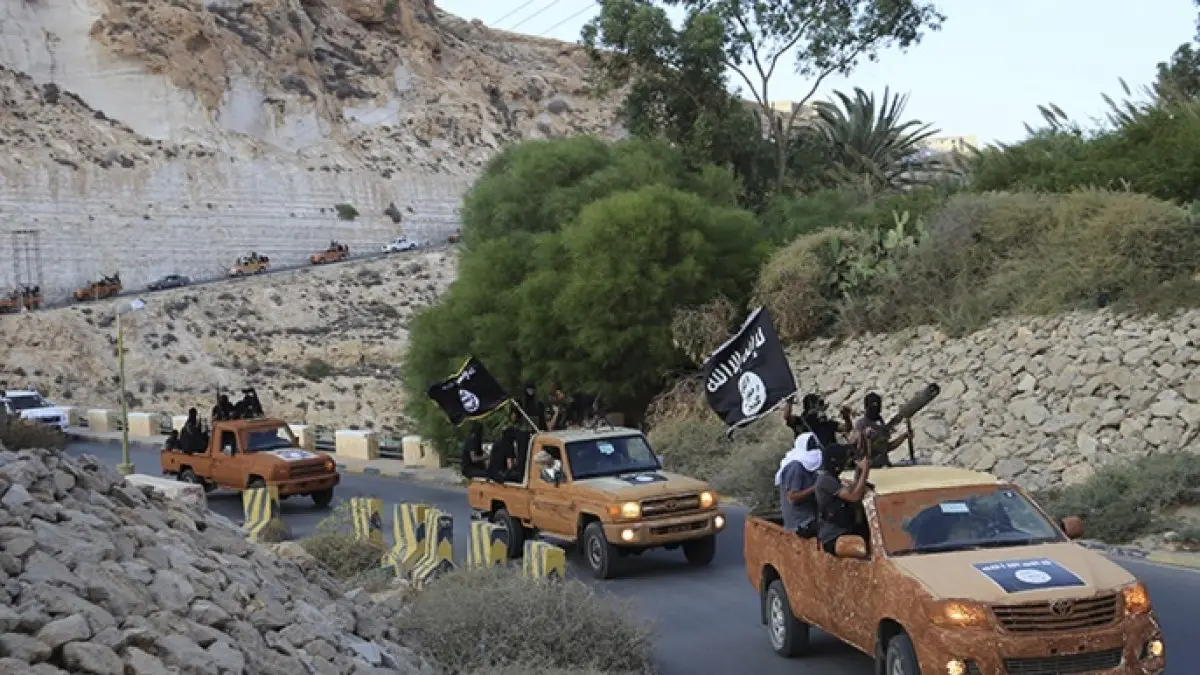 كاتب أميركي: ترامب يفقد بوصلته تجاه التهديد الإرهابي الحقيقي لأميركا