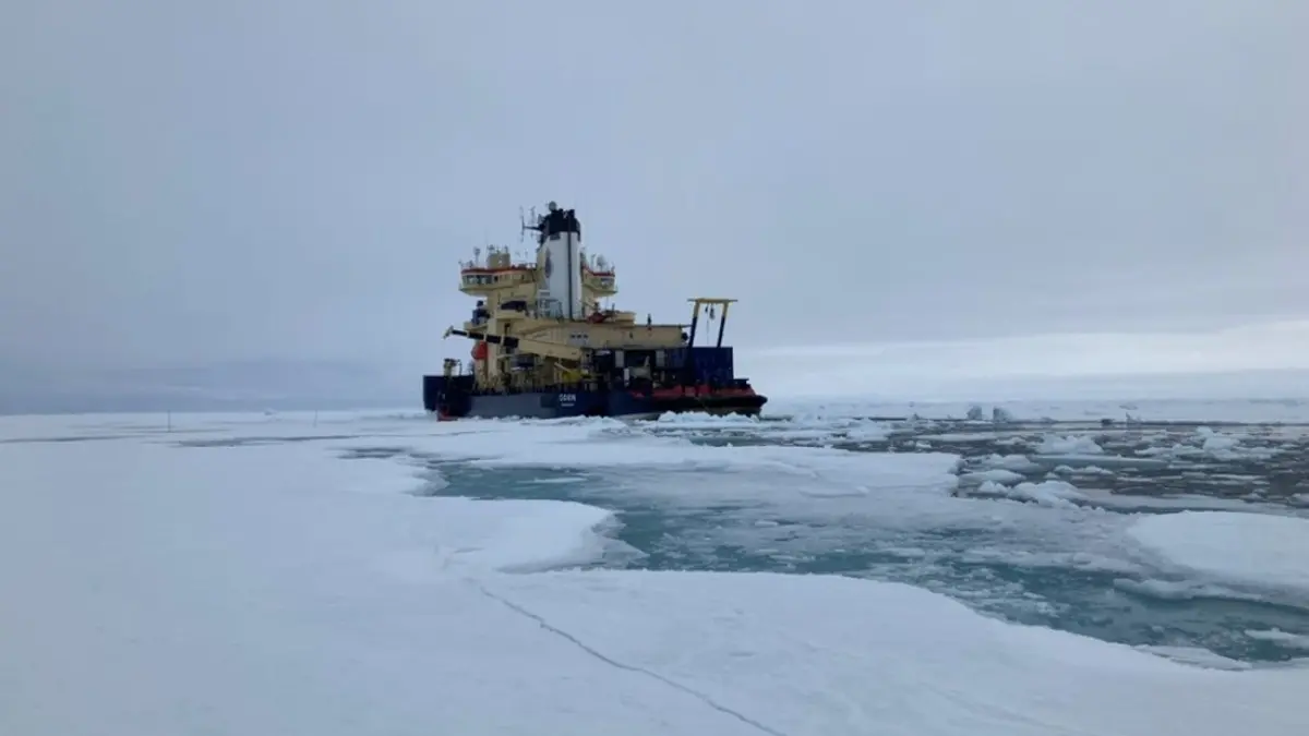 علماء يكتشفون "حياة غامضة" تحت جليد القطب الشمالي