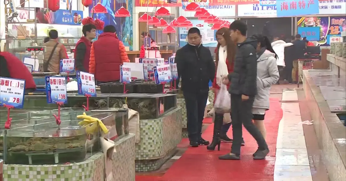 باحثون يسبرون كيفية تأثير الالتهاب على الدماغ