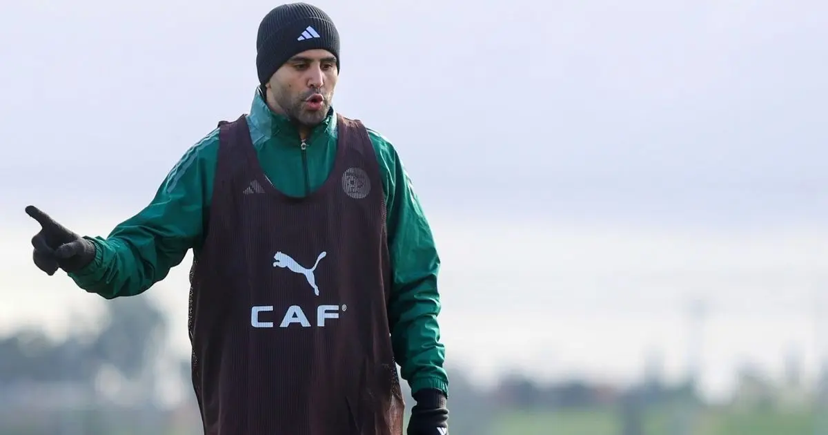 لفك العقدة.. الجزائر تبحث عن أول فوز بكأس أمم إفريقيا منذ آخر تتويج