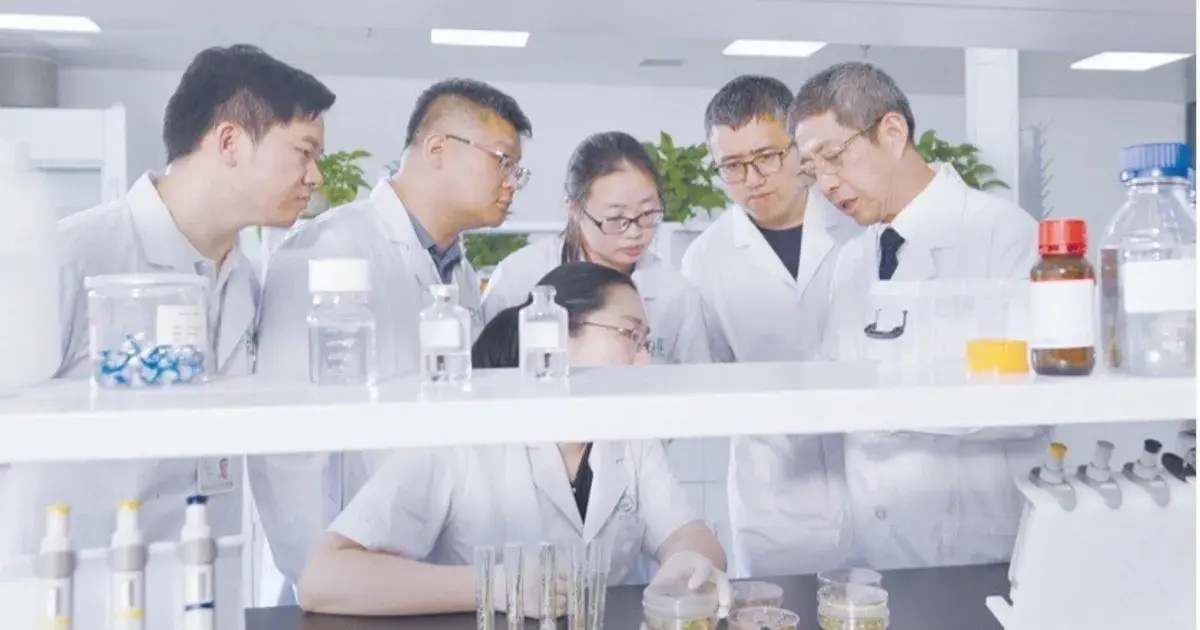 الصين.. إطلاق أول تقنية عالمية لإنتاج الألبومين البشري من الأرز