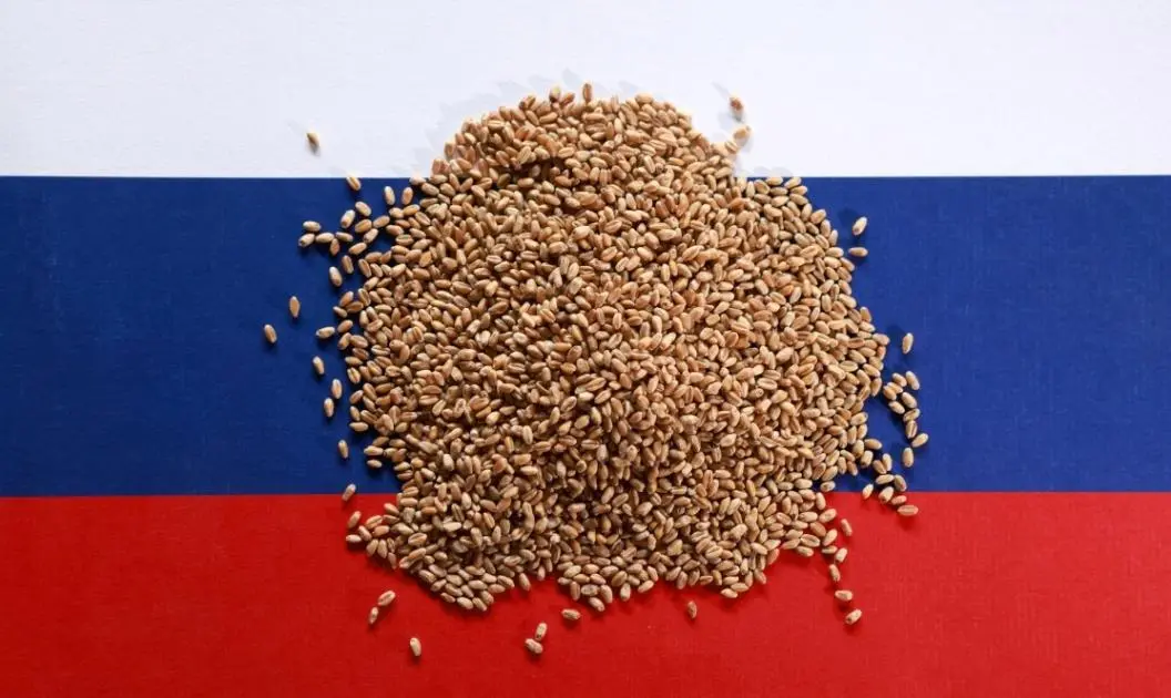 مخاوف الحرب في البحر الأسود تواصل دعم أسعار القمح الأوروبي