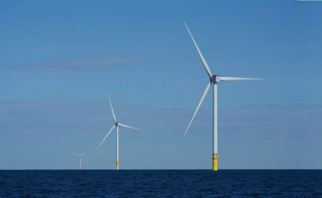 الداخلية الأميركية: مشاريع طاقة الرياح البحرية «خطر على الأمن القومي»