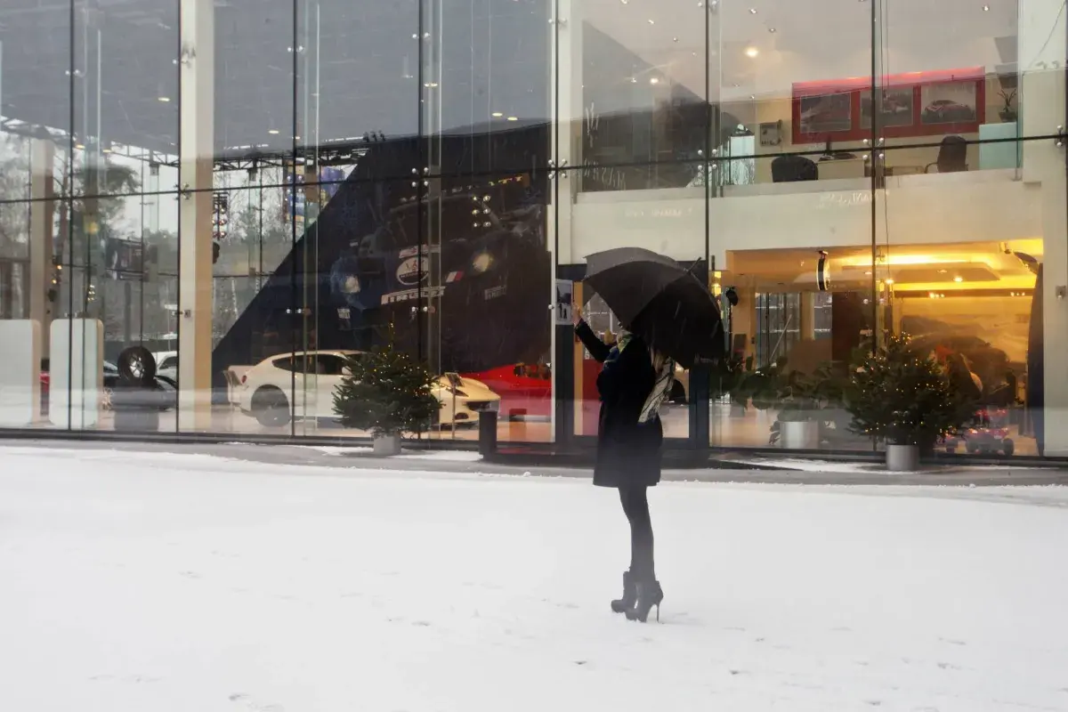 تتبّع مصير 55 من جلادي النظام السابق اختفوا مع سقوط الأسد في منافي الترف