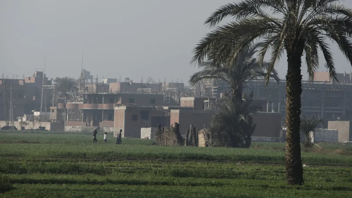 مصر.. السلطات تحقق في فيديو يظهر "جسمًا يشبه التمساح" في محافظة الشرقية