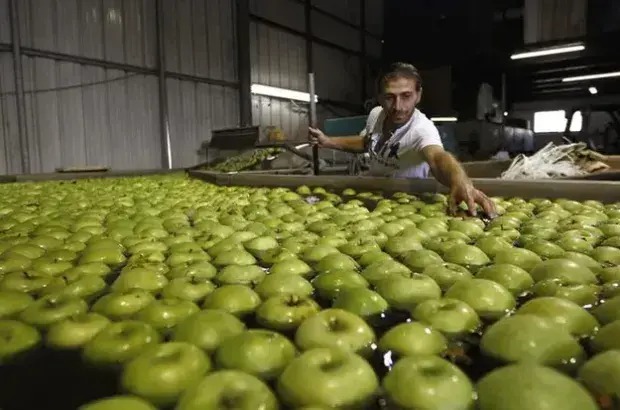 اكتشف تأثير التفاح الأخضر على مرضى السكري