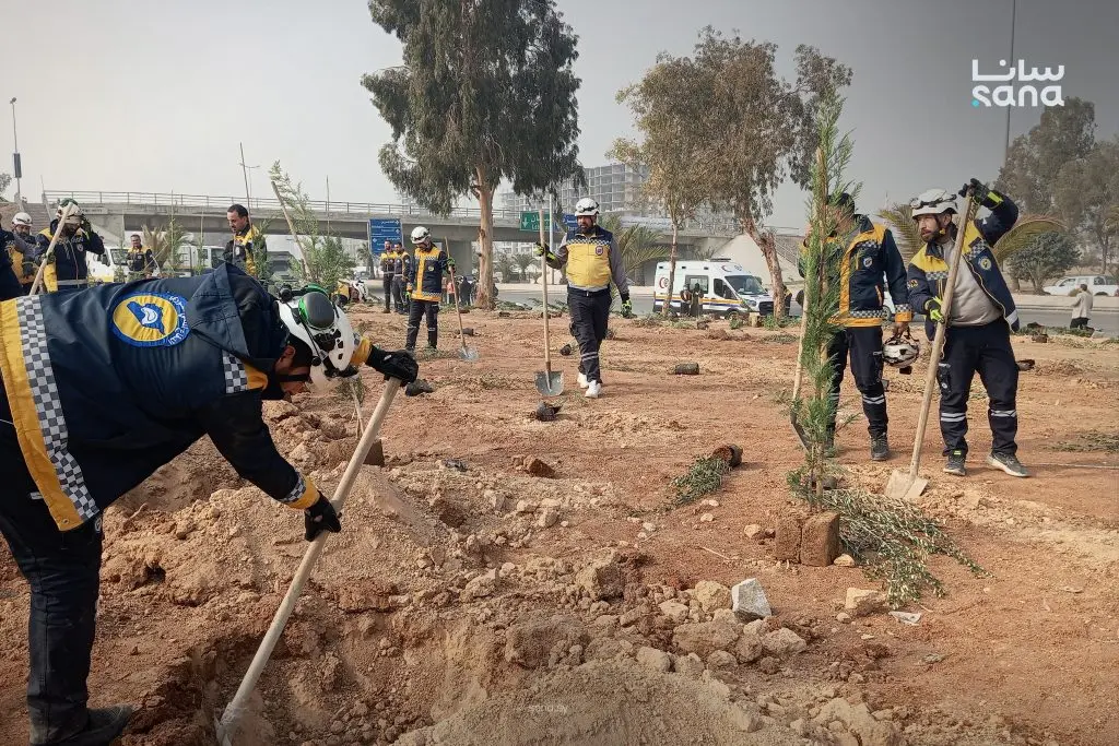 "الشام خضرا ورح تبقى خضرا".. حملة تشجير لزراعة أكثر من مئة ألف غرسة بدمشق