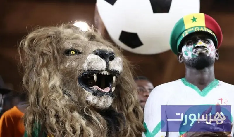 ألقاب منتخبات "الكان": صراع الهويات بين زئير الأسود وبريق النحاس - هسبورت
