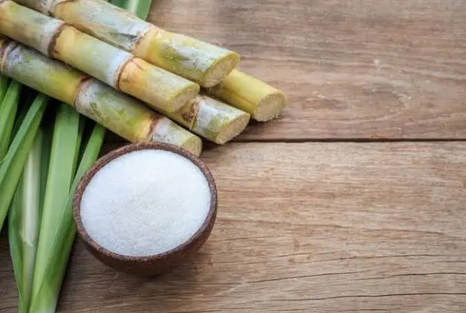 «التموين» تطالب المالية بتخصيص 25 مليار جنيه لصرف مستحقات قصب السكر - أموال الغد