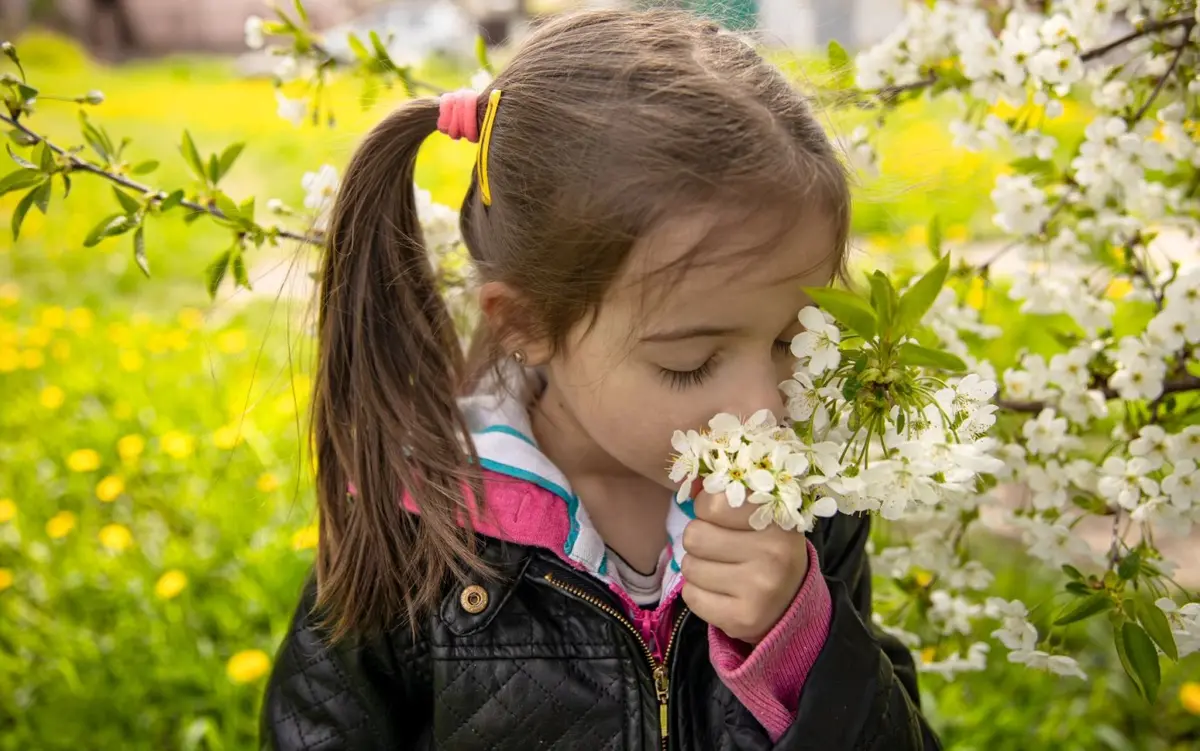 لماذا نتذكر الروائح في طفولتنا أكثر من الصور؟