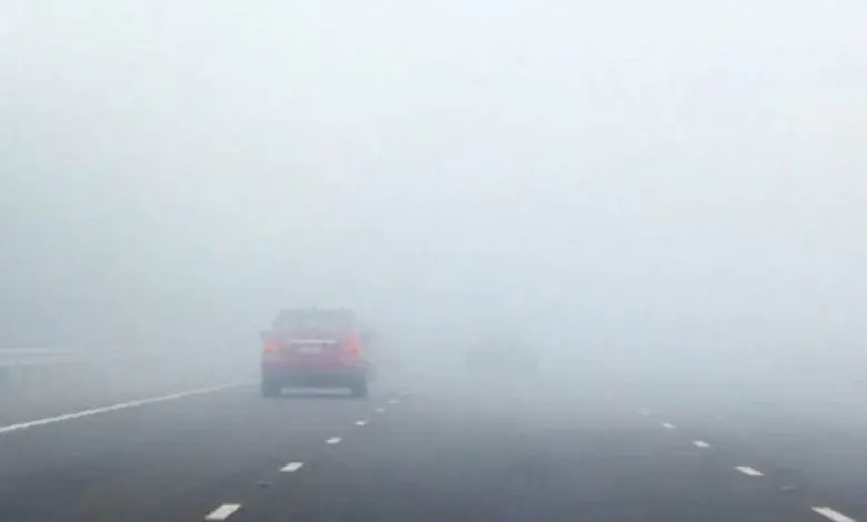 حالة الطقس غدا الخميس 25-12-2025.. شبورة مائية وأجواء شديدة البرودة - أموال الغد