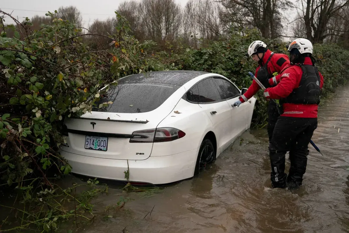 تحقيق في صعوبة فتح أبواب سيارات «تسلا» بعد تعرضها لحوادث