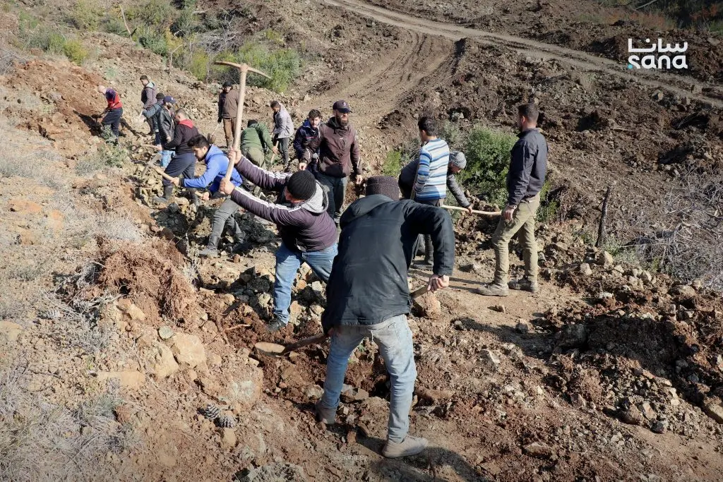 اللاذقية تحتفل بعيد الشجرة بحملة تشجير لتعزيز الغطاء النباتي