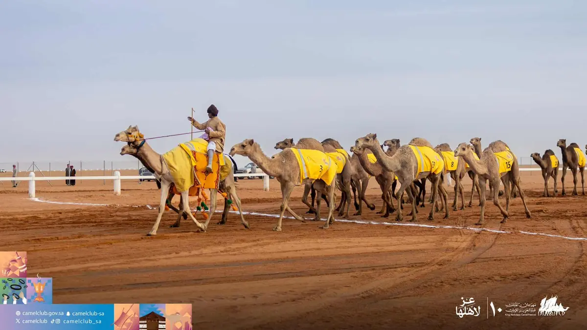 عز وفخر.. وزارة الداخلية ترسم لوحة الأمن في «مهرجان الملك عبد العزيز للإبل»
