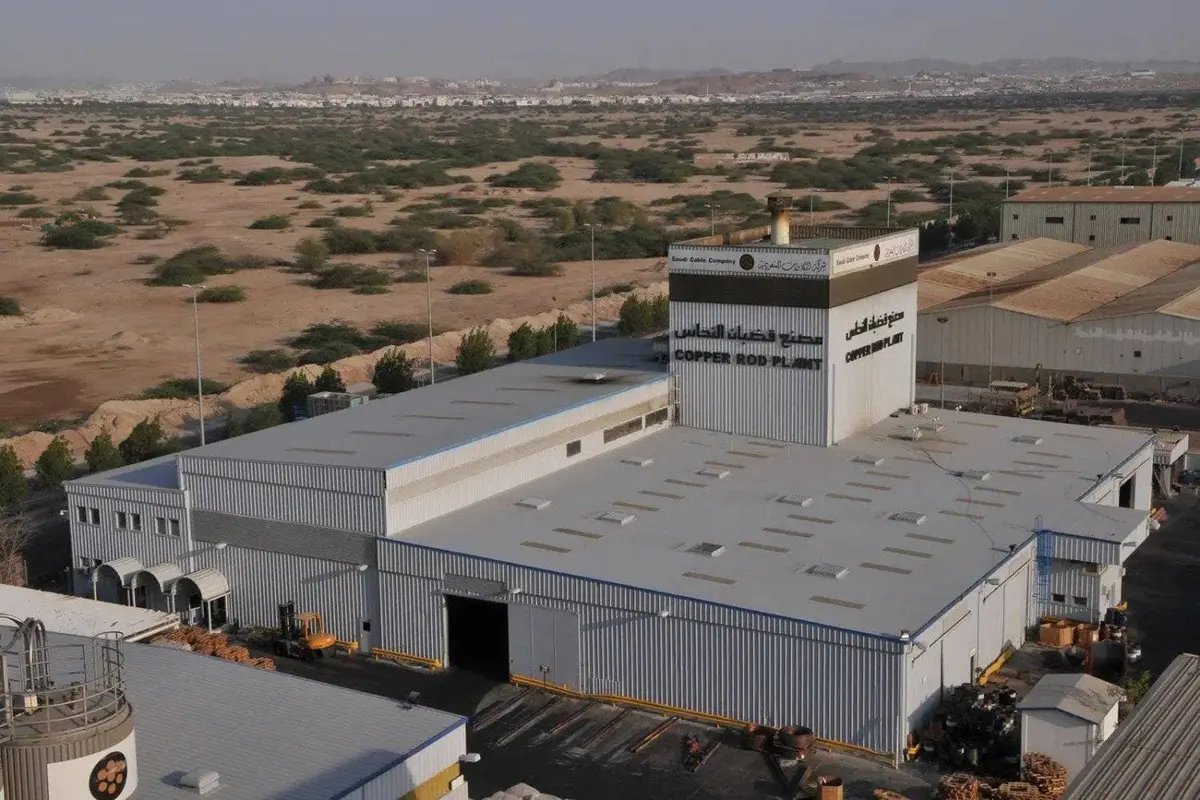 تعليق تداول «الكابلات السعودية» حتى نهاية اليوم