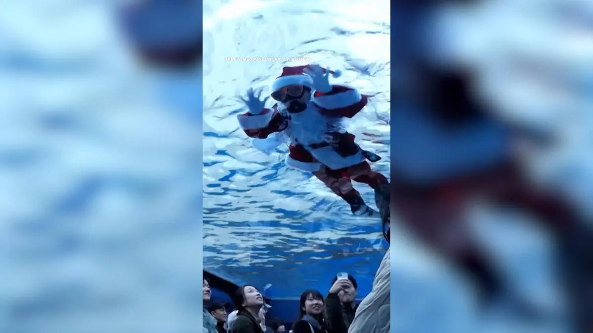 مشاهد لاحتفالات عيد الميلاد حول العالم