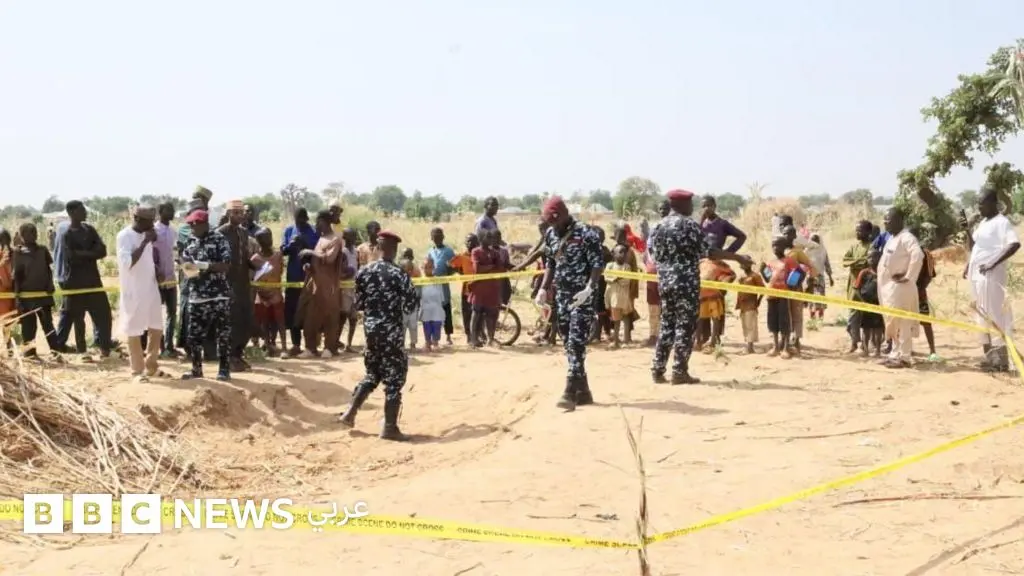 الولايات المتحدة تشن ضربات جوية ضد تنظيم الدولة الإسلامية في نيجيريا - BBC News عربي