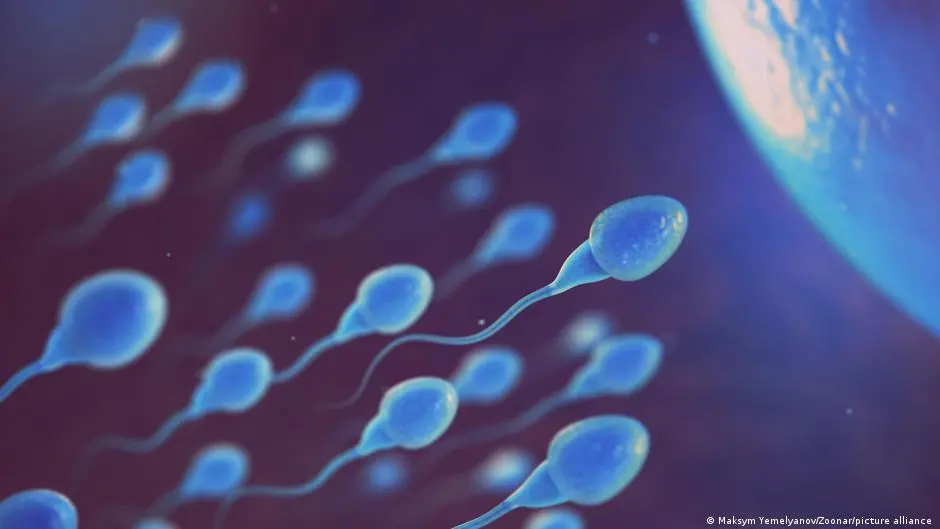 الأداء الجنسي للرجل.. أسباب تراجعه وكيفية الحفاظ عليه – DW – 2025/12/27