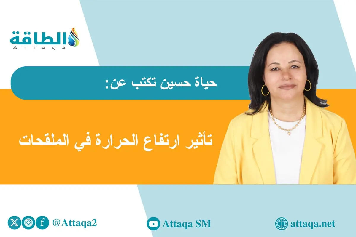 هل تنقذ ريحاناتي النحل من تغير المناخ؟ (مقال) - الطاقة