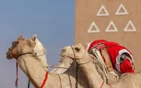 إمارة الباحة تعرض مسيرة التنمية في جناحها بمعرض «واحة الأمن»