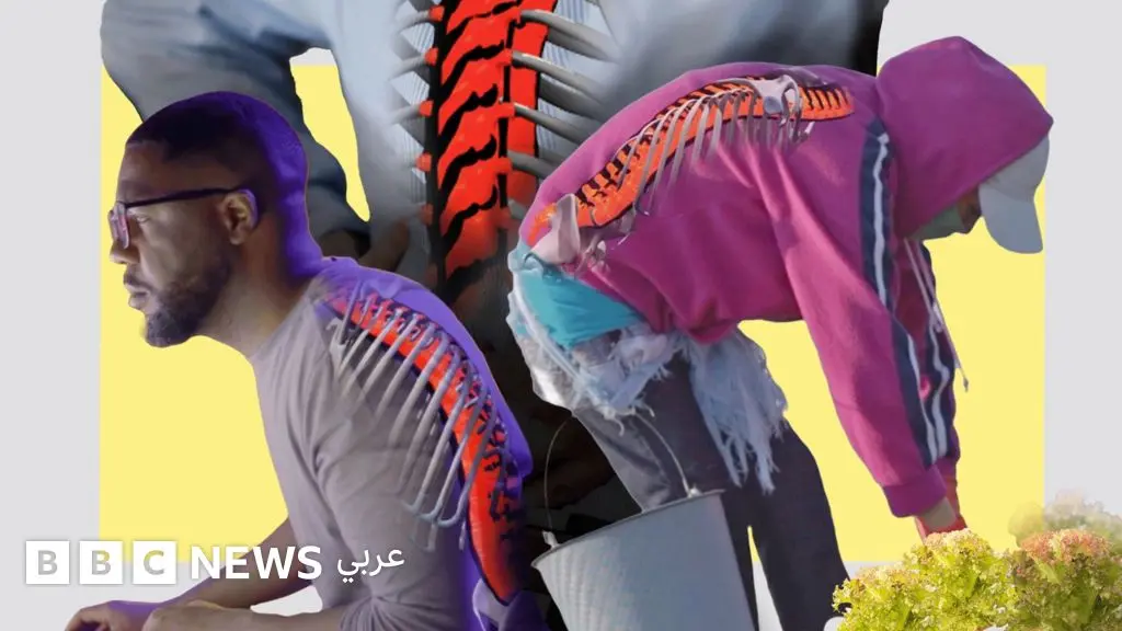 آلام الظهر: خمس قواعد بسيطة لتجنّب الألم واستعادة الحركة - BBC News عربي