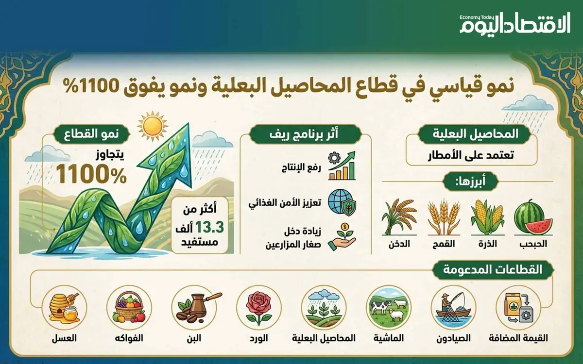 إنفوجراف.. نمو قياسي لقطاع المحاصيل البعلية بالمملكة ونمو يفوق 1100%