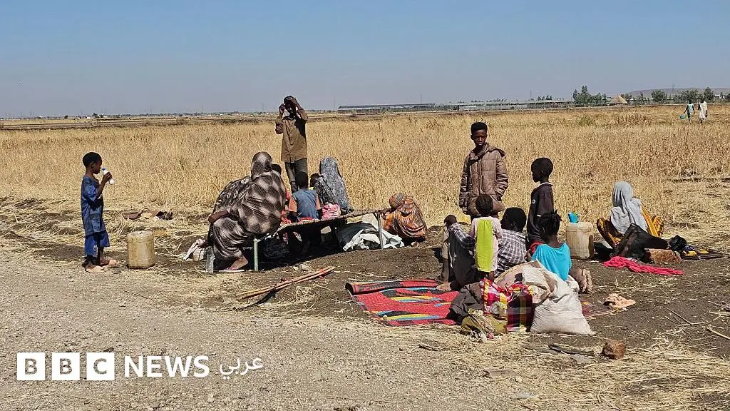 جيش جنوب السودان يأمر بإخلاء مناطق في جونقلي، وحقل هجليج النفطي يستأنف عملياته بعد سيطرة قوات الدعم السريع - BBC News عربي