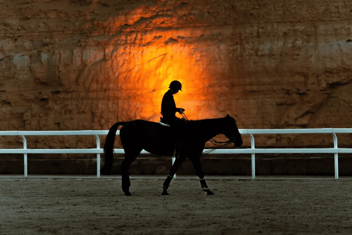 «منزال» يعود محتفيًا بالإرث الطبيعي للدرعية التاريخية