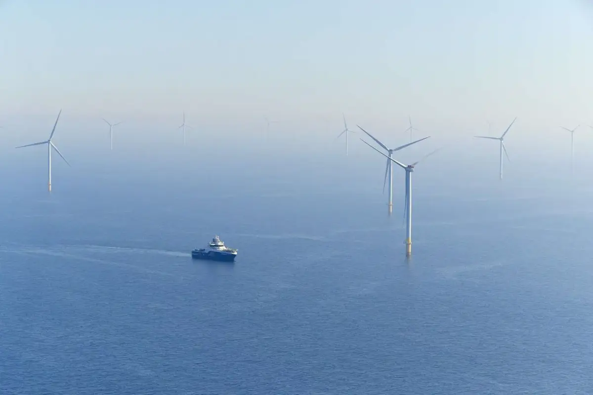 أورستد تقاضي ترمب بعد تعليق مشروع رياح بحرية بـ5 مليارات دولار - الطاقة