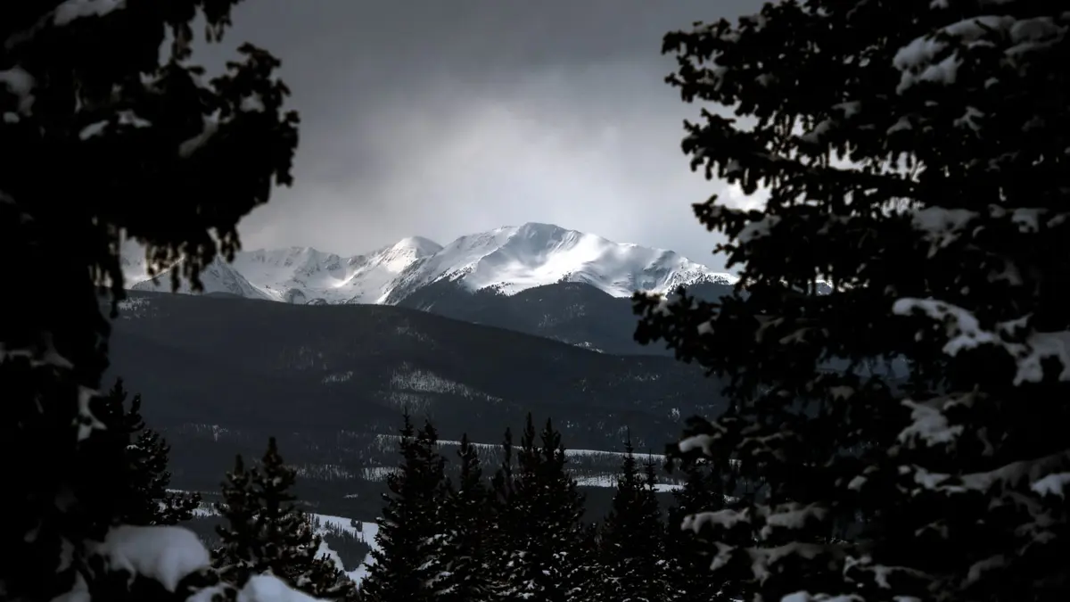 العثور على جثة امرأة مفتوك بها بجبال كولورادو والمشتبه به أسد جبلي