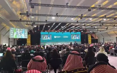 "سعف" السعودي يتمدّد بمشاريع خضراء عربياً