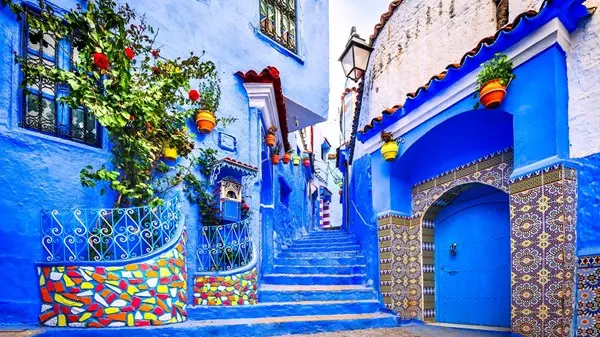 زهرة الخليج - المغرب تجذب المشاهير في بداية 2026