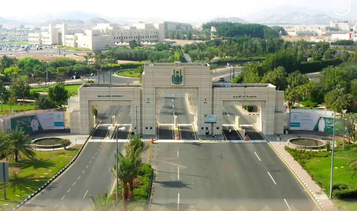 جامعة أم القرى تسجل ابتكارًا لإنتاج الطاقة الكهربائية.. هل تنخفض تكاليف الاستهلاك؟