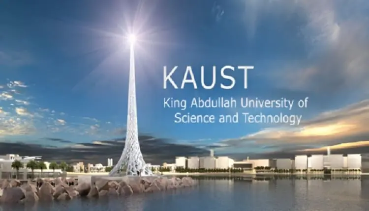 «كاوست»: تعافي أسماك الشعاب المرجانية قد يضاعف الغذاء المستدام عالميًا