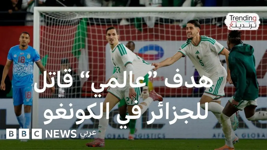 ربع نهائي كأس الأمم الإفريقية.. ما هو جدول مباريات المنتخبات العربية؟ - BBC News عربي