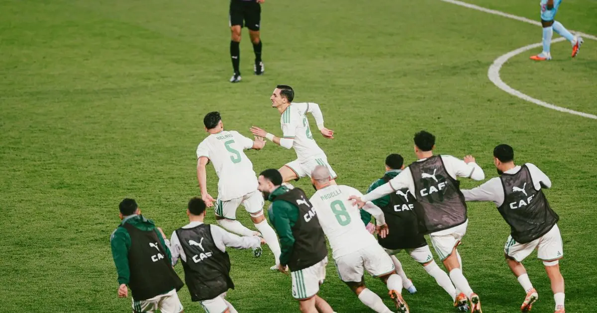 5 أرقام مميزة.. بولبينة وزيدان يكتبان التاريخ ونيجيريا فأل خير للجزائر