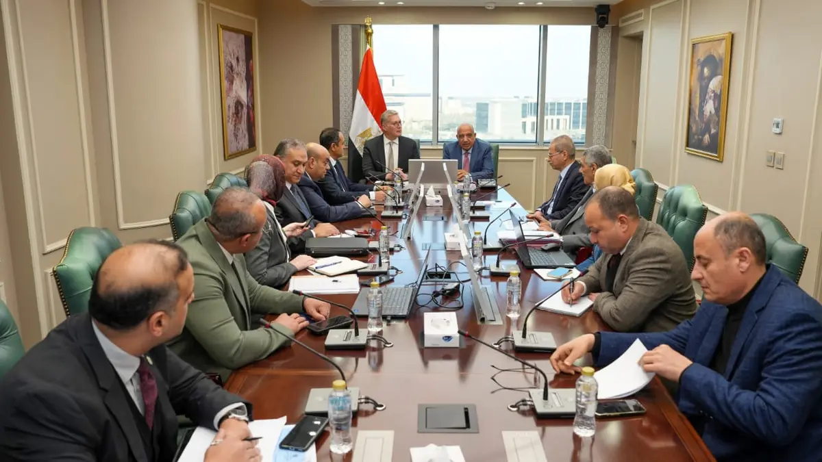 وزيرا البترول والكهرباء يبحثان خطط توفير الوقود لمحطات توليد الكهرباء الصيف القادم - أموال الغد