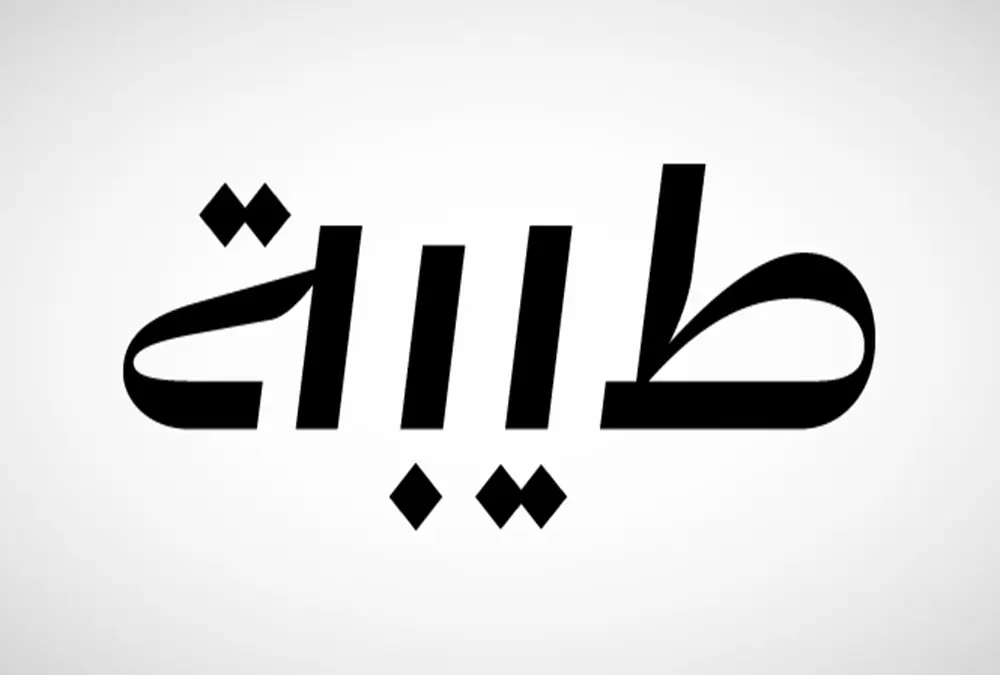 «طيبة للاستثمار» تسدد 2.96 مليون ريال رسومًا للأراضي البيضاء في الرياض